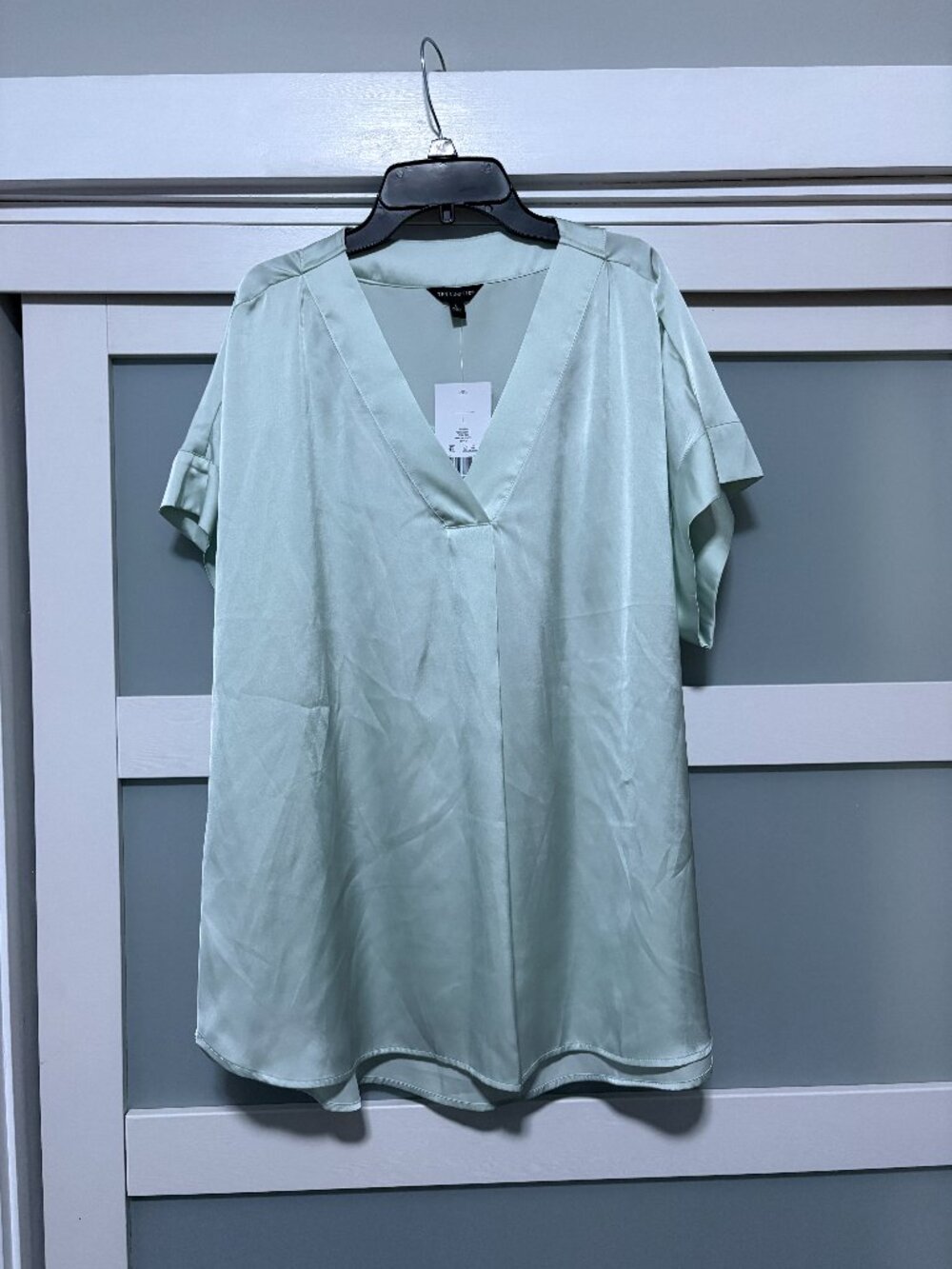 The Limited Dry Ice Light Green Silky S/S Ladies Blouse sz L Large NEW NWT